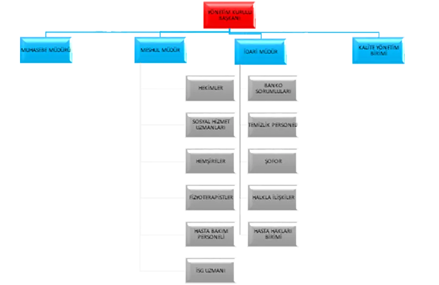 Organizasyon Şeması